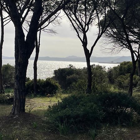 Villa Gegi Budoni Exteriér fotografie