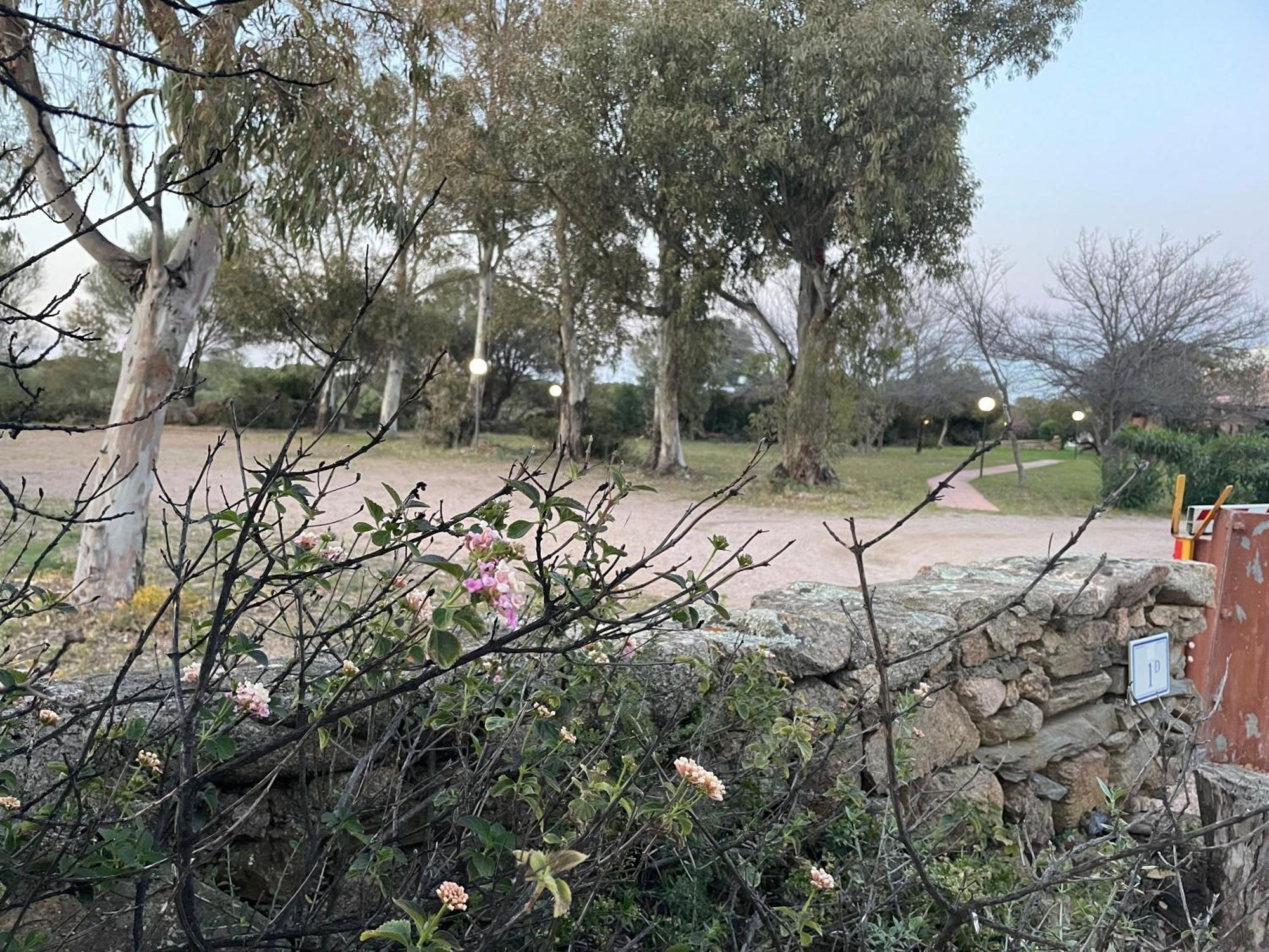 Villa Gegi Budoni Exteriér fotografie
